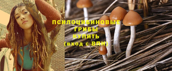 не бодяженный Абдулино