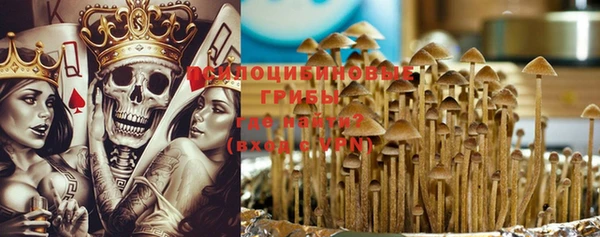 крисы Абаза