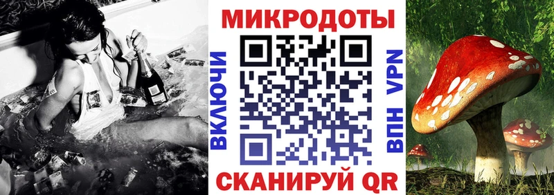 Псилоцибиновые грибы прущие грибы  купить наркоту  Чулым 
